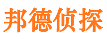 宝塔邦德私家侦探公司